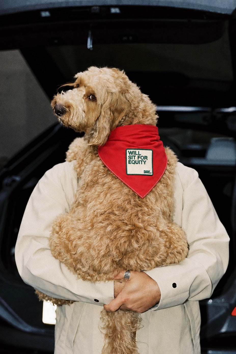 Will Sit for Equity Dog Bandana